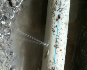 浚县卫生间测漏水多少钱